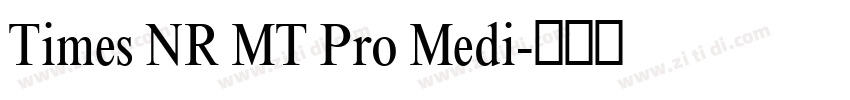 Times NR MT Pro Medi字体转换